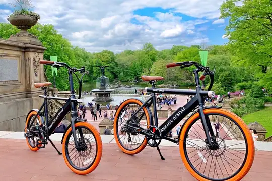 Two black electric rental bikes overlooking Bethesda Fountain in Central Park
