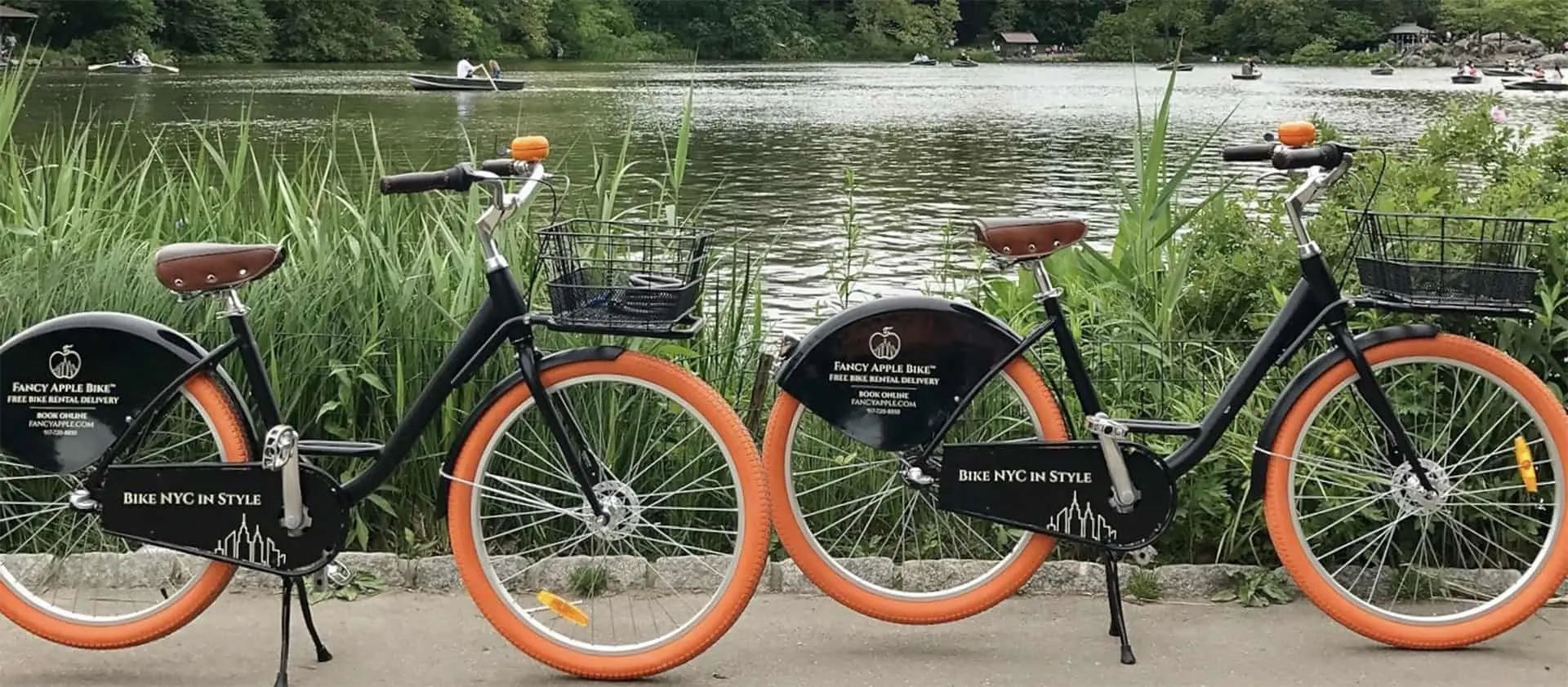 Rental bike parked beside a Central Park lake