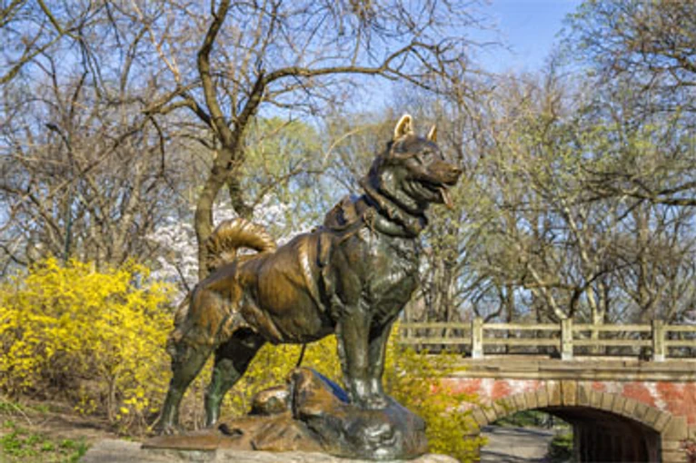 Balto in Central Park
