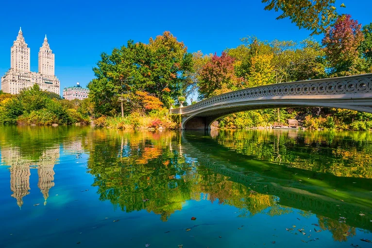 Bow Bridge in Central Park