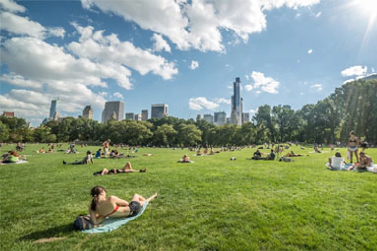 Great Lawn in Central Park