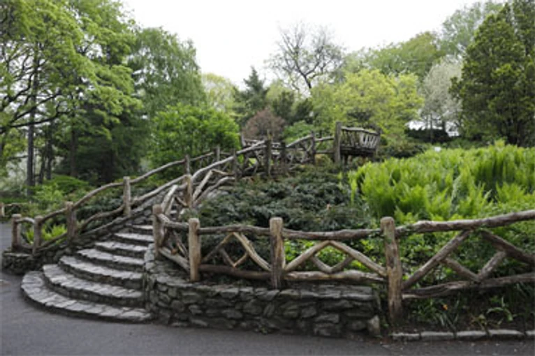Shakespeare Garden in Central Park