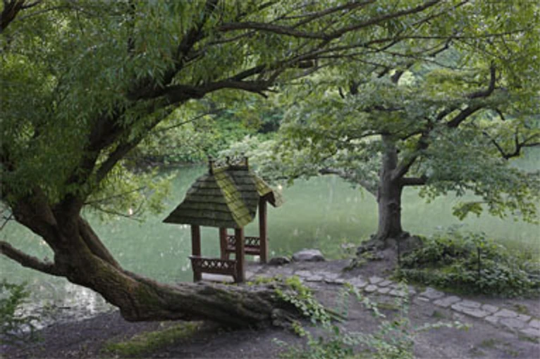 Wagner Cove in Central Park