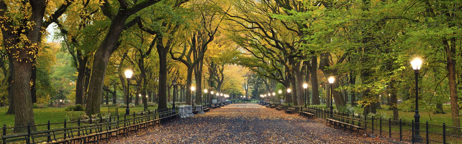 Group riding rental bikes on a car-free Central Park drive