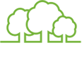 Central Park Discovery